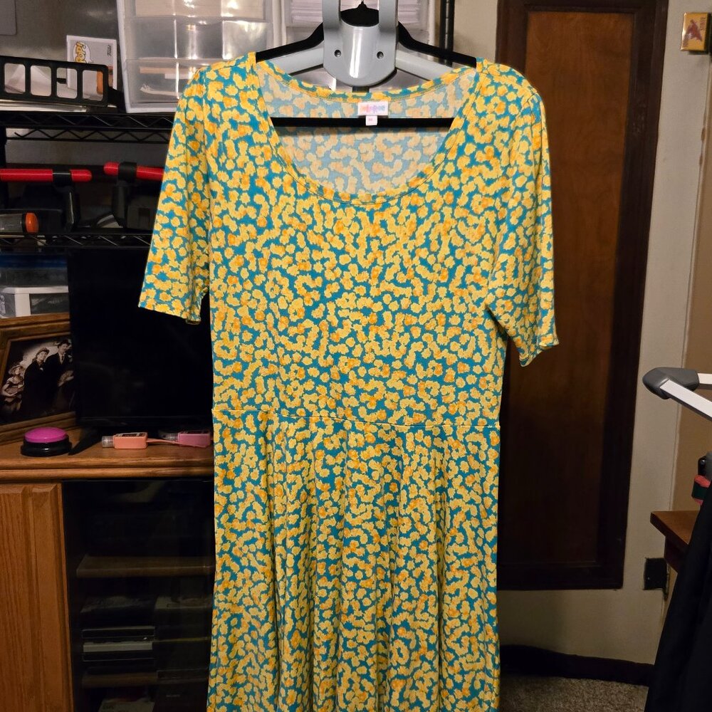 LulaRoe Nicole Dress